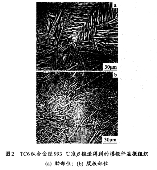 TC6鈦合金經(jīng)993 ℃準(zhǔn)鍛造得到的模鍛件顯微組織(a) 肋部位;(b) 腹板部位 TC6鈦合金經(jīng)993 ℃準(zhǔn)鍛造得到的模鍛件顯微組織(a) 肋部位;(b) 腹板部位